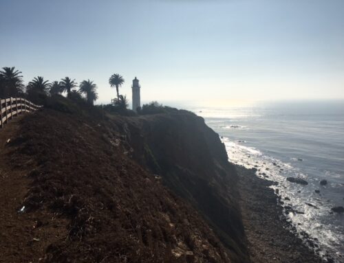 Day 5, Dec 27: Long Beach and the Palos Verdes Peninsula