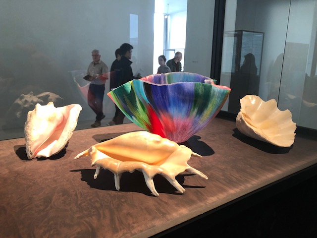Display of 3 large shells with a beautiful multi-colored modern bowl, shaped somewhat like the cup of a flower 