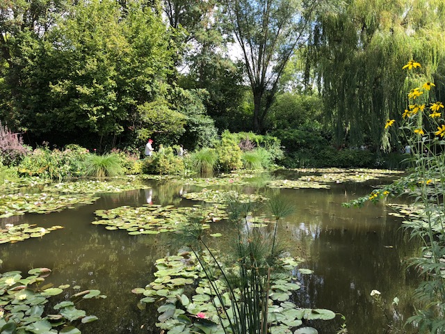 More of the pond