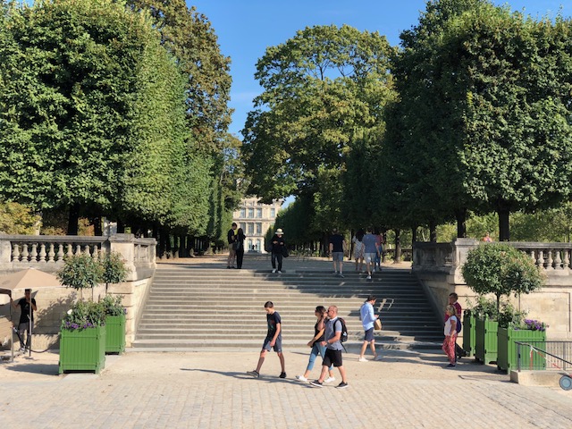 Tree-lined walkway in the Tuileries