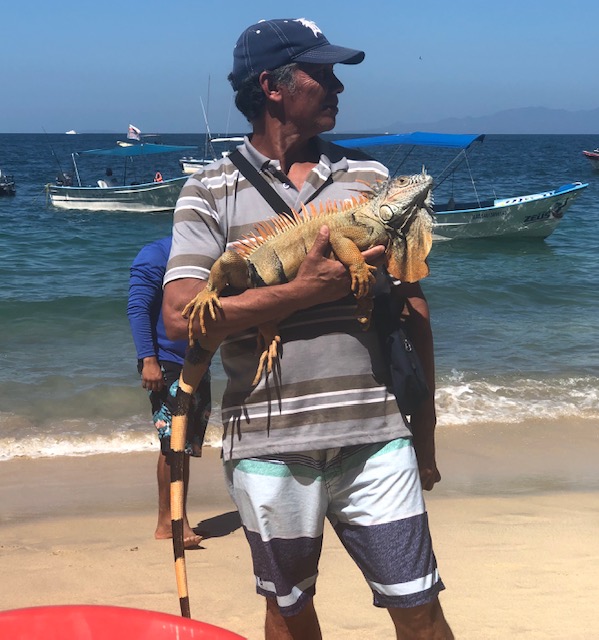 A guy walking around with a big iguana - probably 3.5 feet nose to end of tail. 
