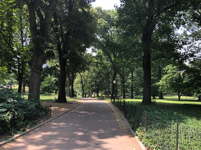 Long wide sidewalk lined with trees and lawns