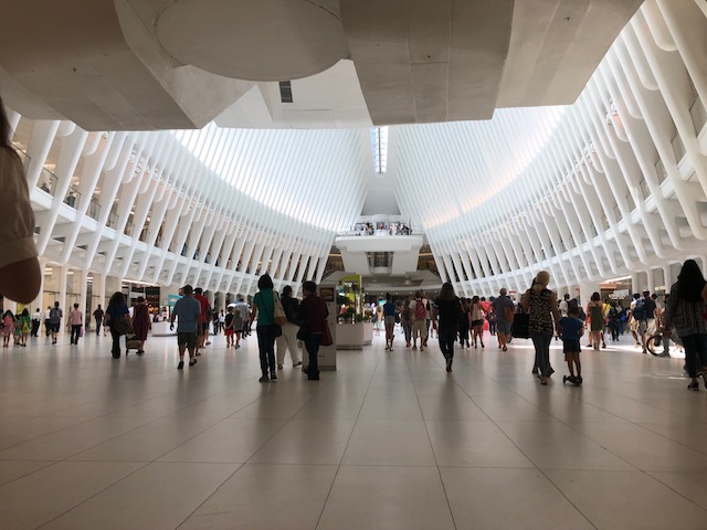 Inside oculus, showing the ribs of 'the bird"