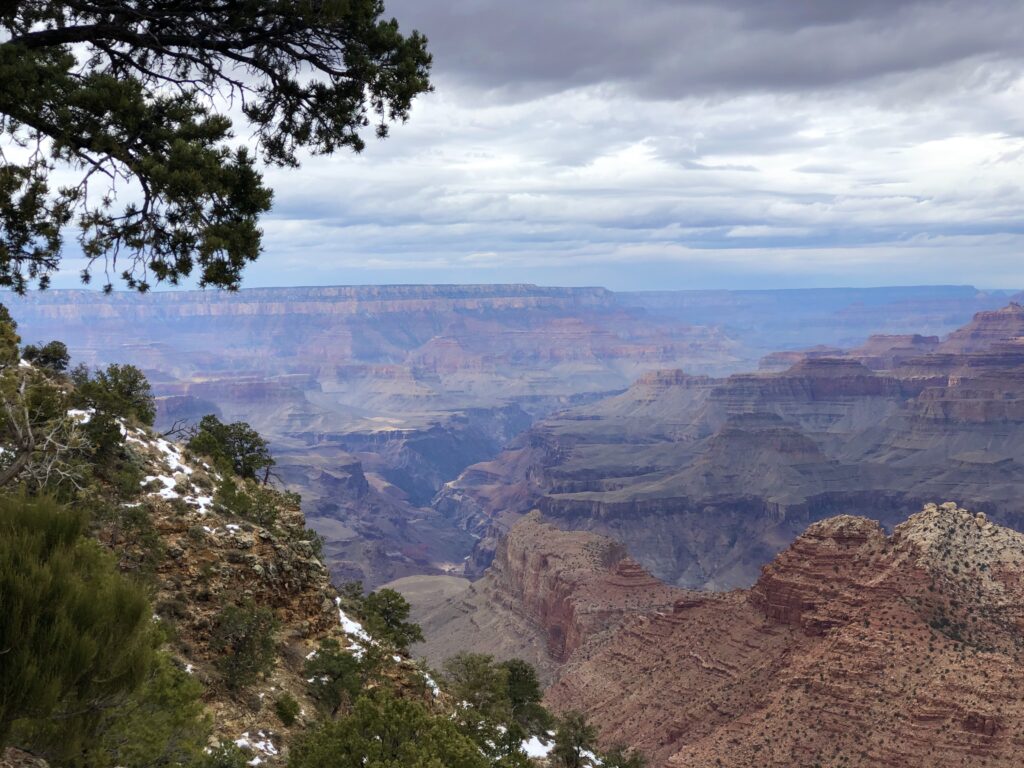 stunning canyon view, partially framed by a tree on the left