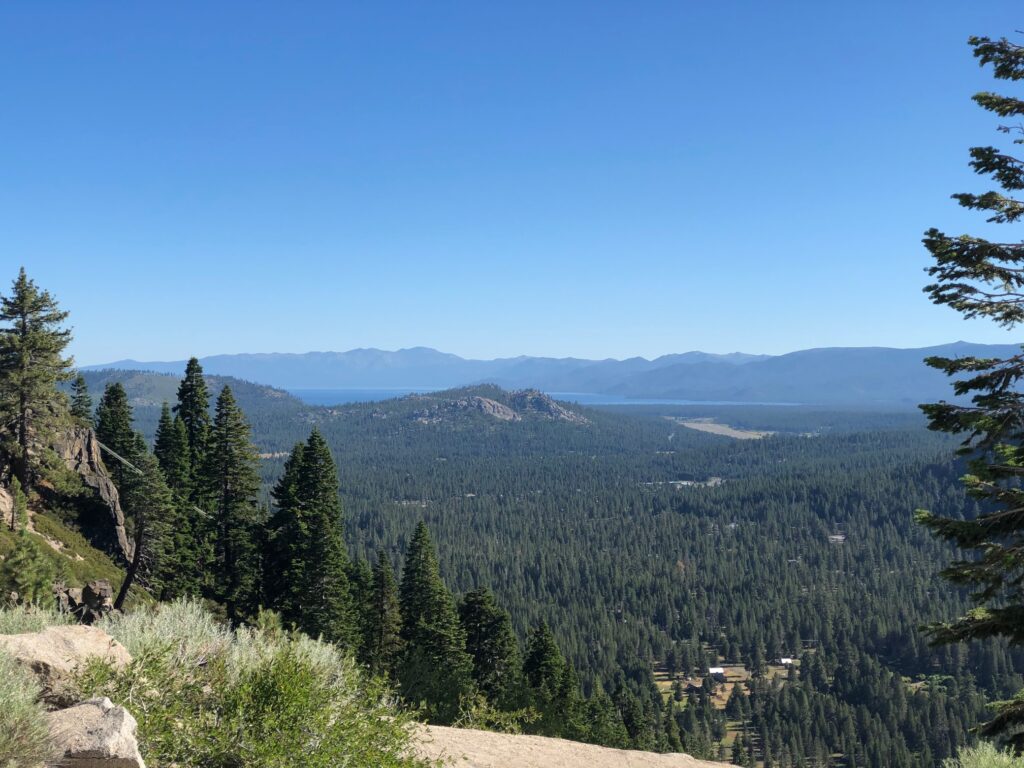 Looking down into a valley of trees with the barest glimpse of Lake Tahoe in the background