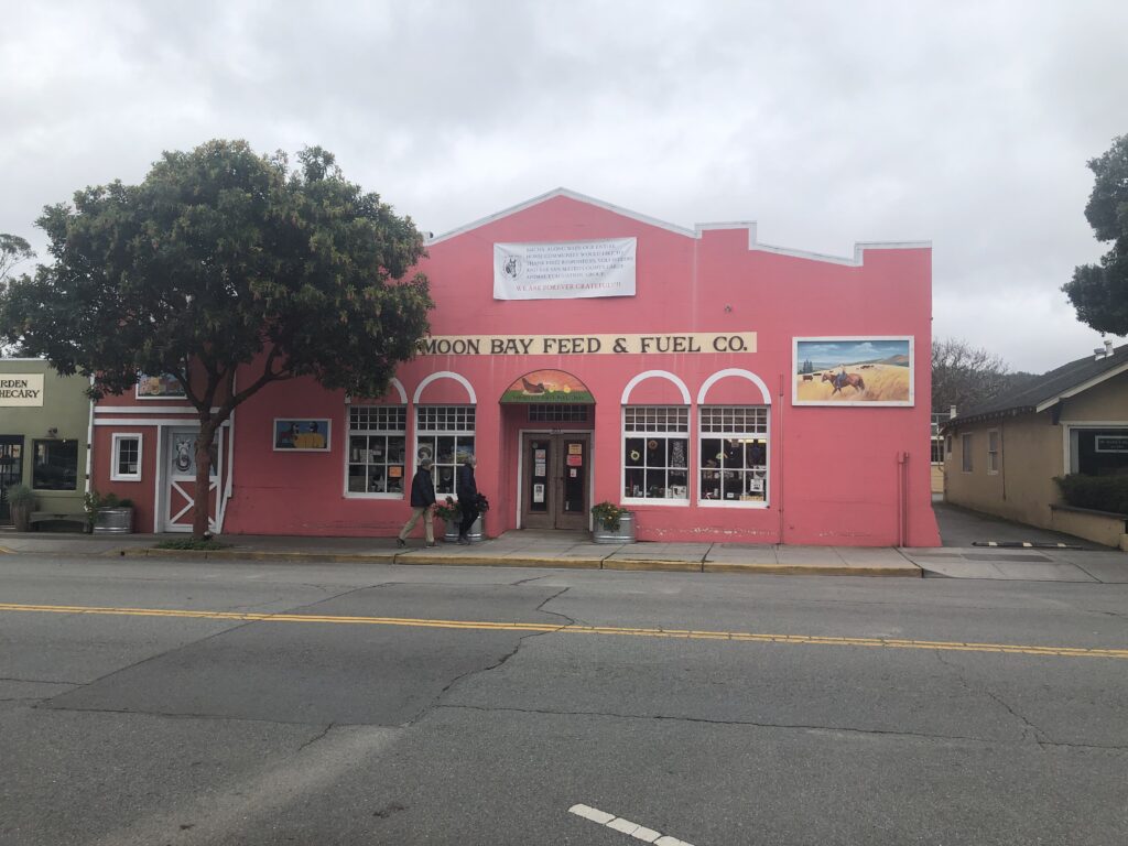 Half Moon Bay Feed & Fuel - a most boring building with an Alamo type of motif, except it's painted a vivid pink or maybe salmon color. 