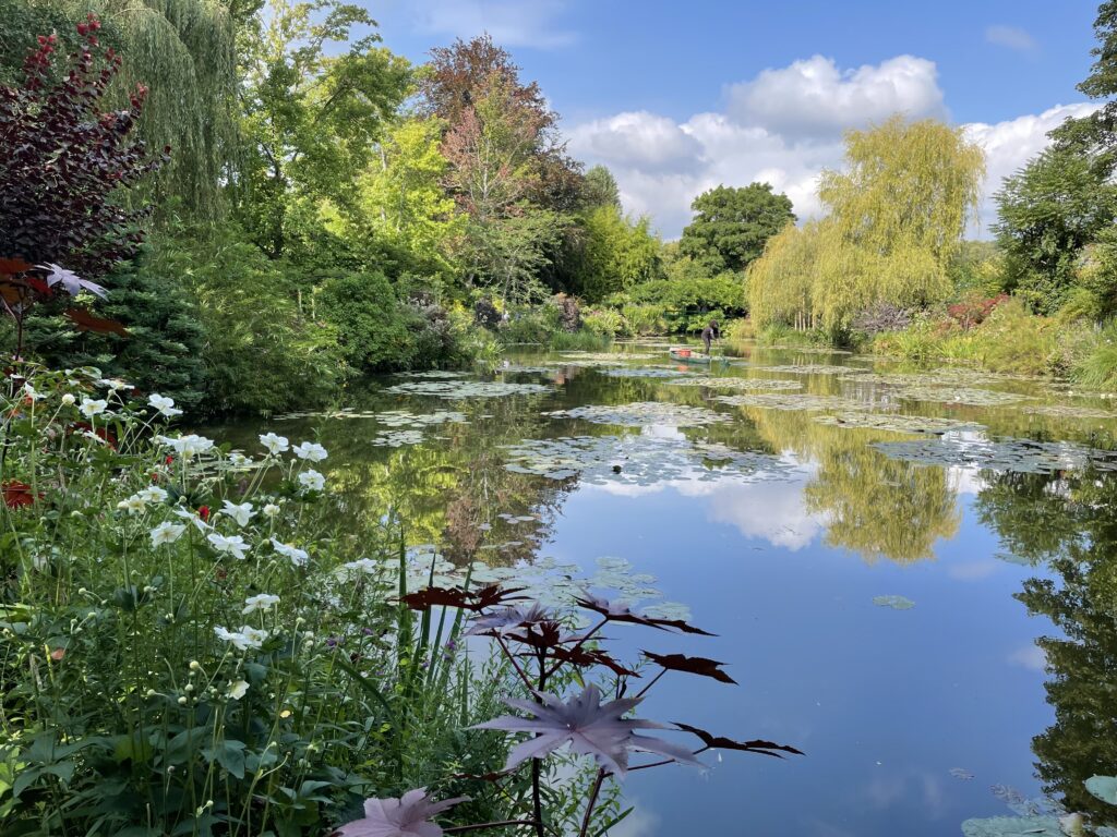 Shows the length of the pond, starting in the foreground and running all the way to the back of the photo. White flowers on the left foreground. Big red leaves of something center foreground. Trees in shades of pink and green in the background. 