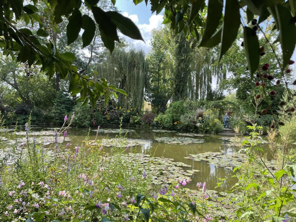 lily pond across the center, pink flowers lower foreground, dark green leaves top foreground as a frame 