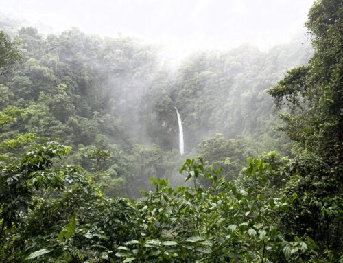 2022 Costa Rica: Day 2, Fortuna Waterfall