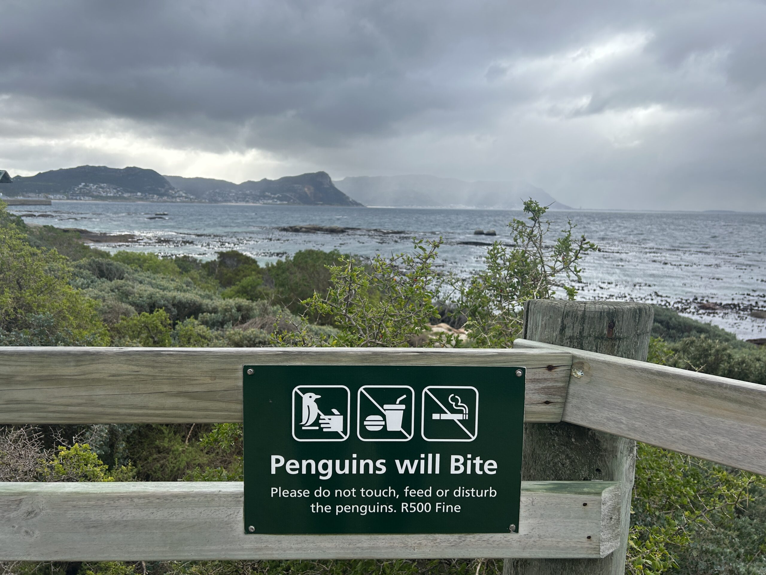 Sign: Penguins will bit. Please do not touch, feed or disturb the penguins. 500 rand fine. 