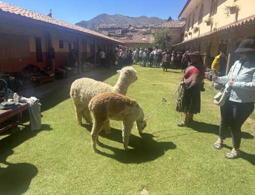 Days 5 and 6: Cusco to Guayaquil – with weaving demonstrations, alpacas, and monkeys