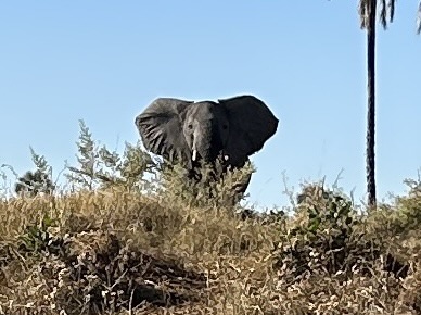 Day 10: Okavango Delta, Part 3